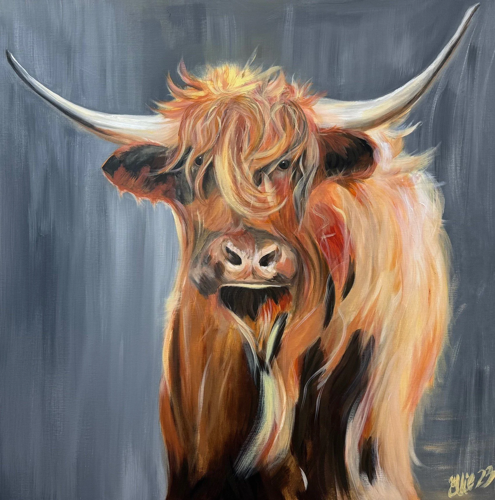Angus