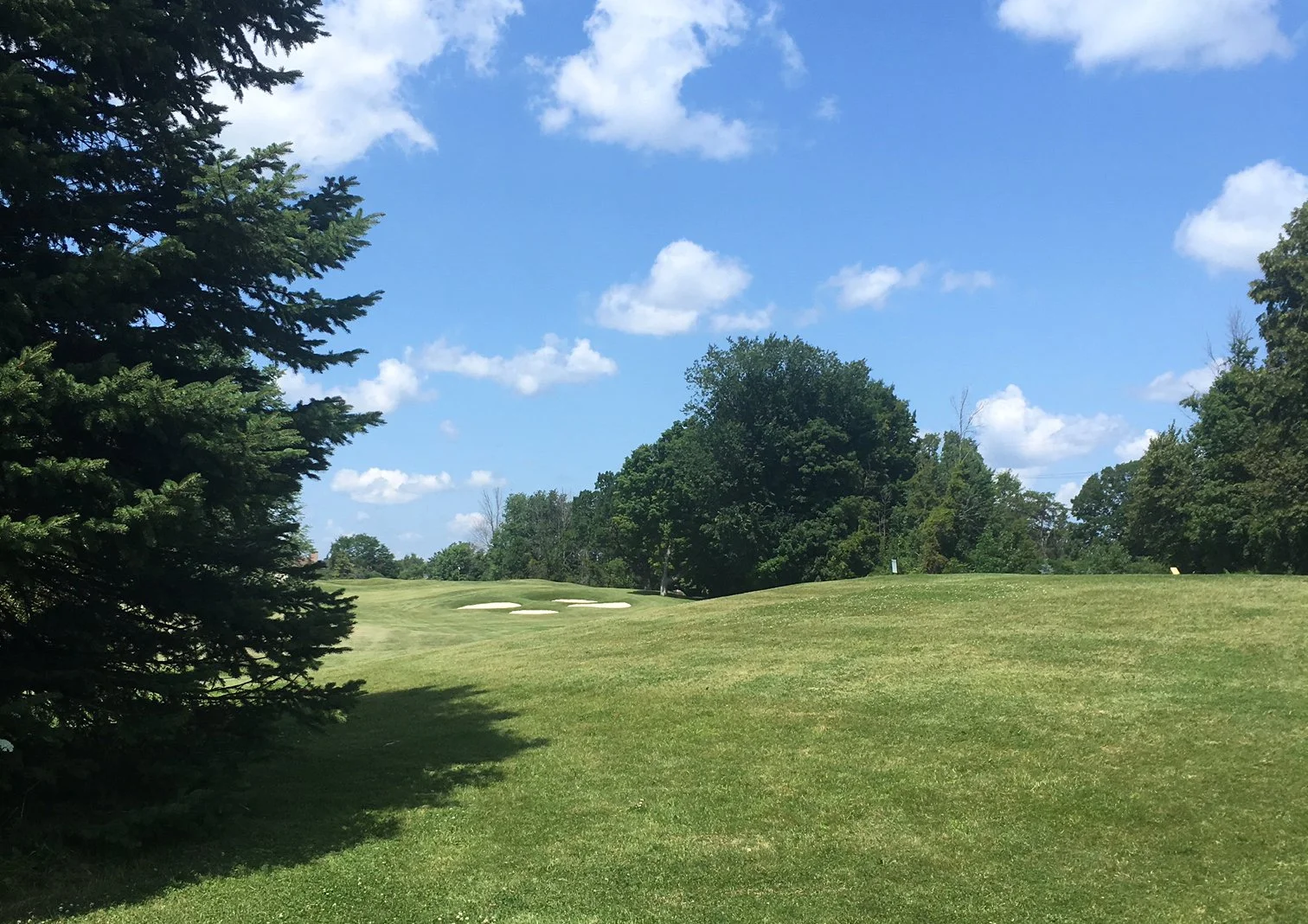 Protecting Our Greenspace