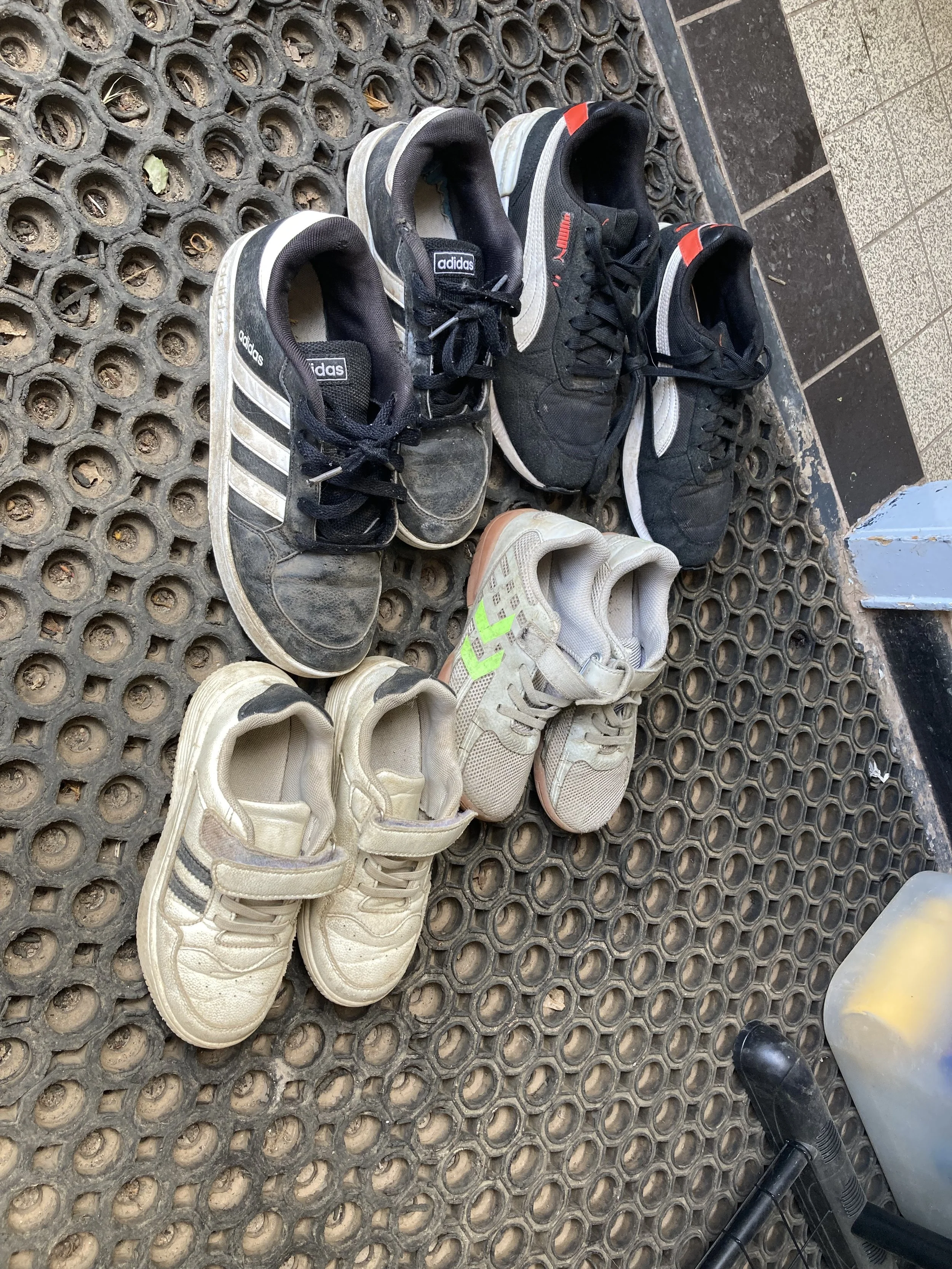 IMG_4028.jpeg