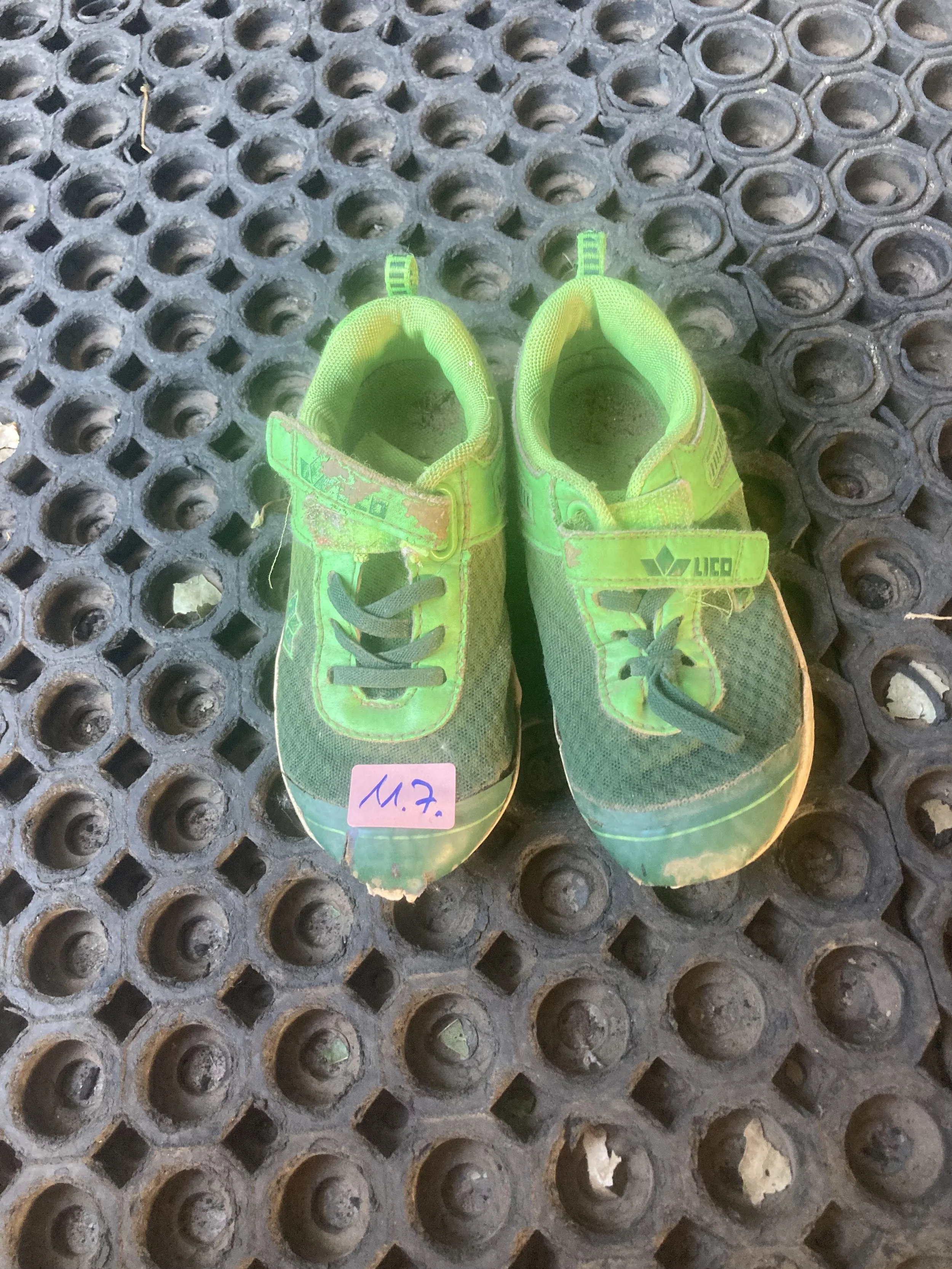 IMG_4472.jpeg