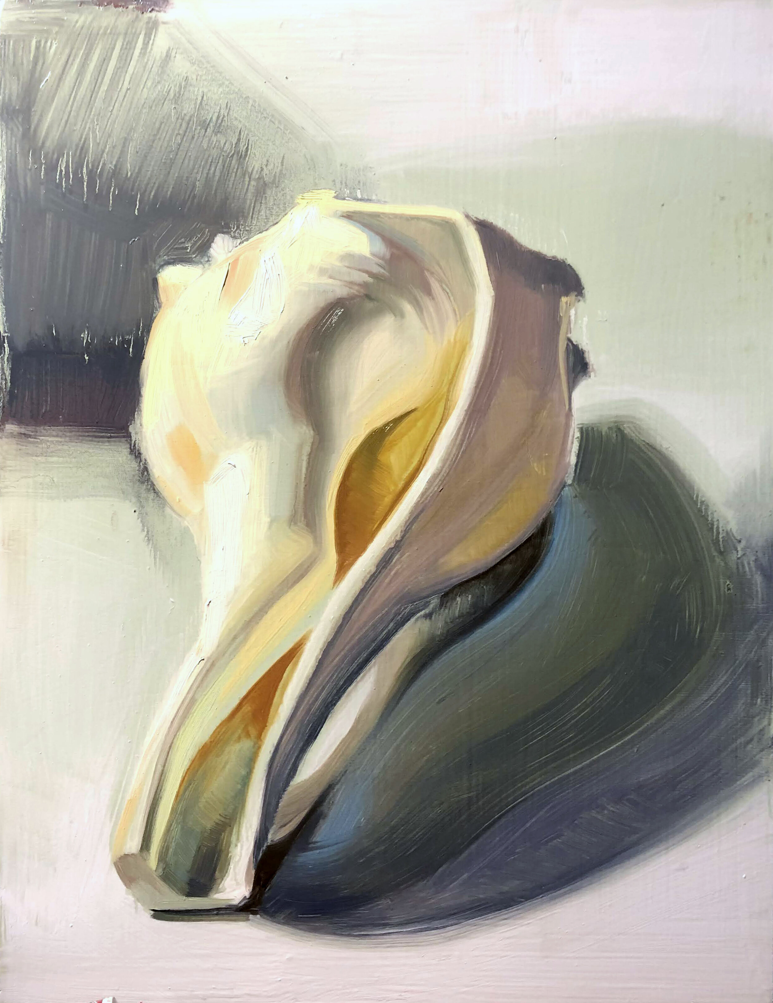 Shell Sketch #2