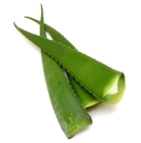 Aloe Barbadensis Leaf Extrakt