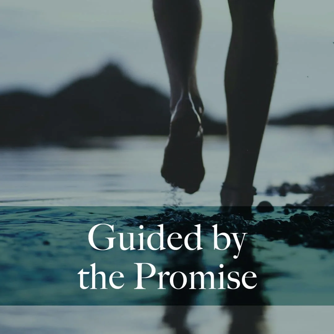 Sunday, March 1, 2026.  “Guided by the Promise”