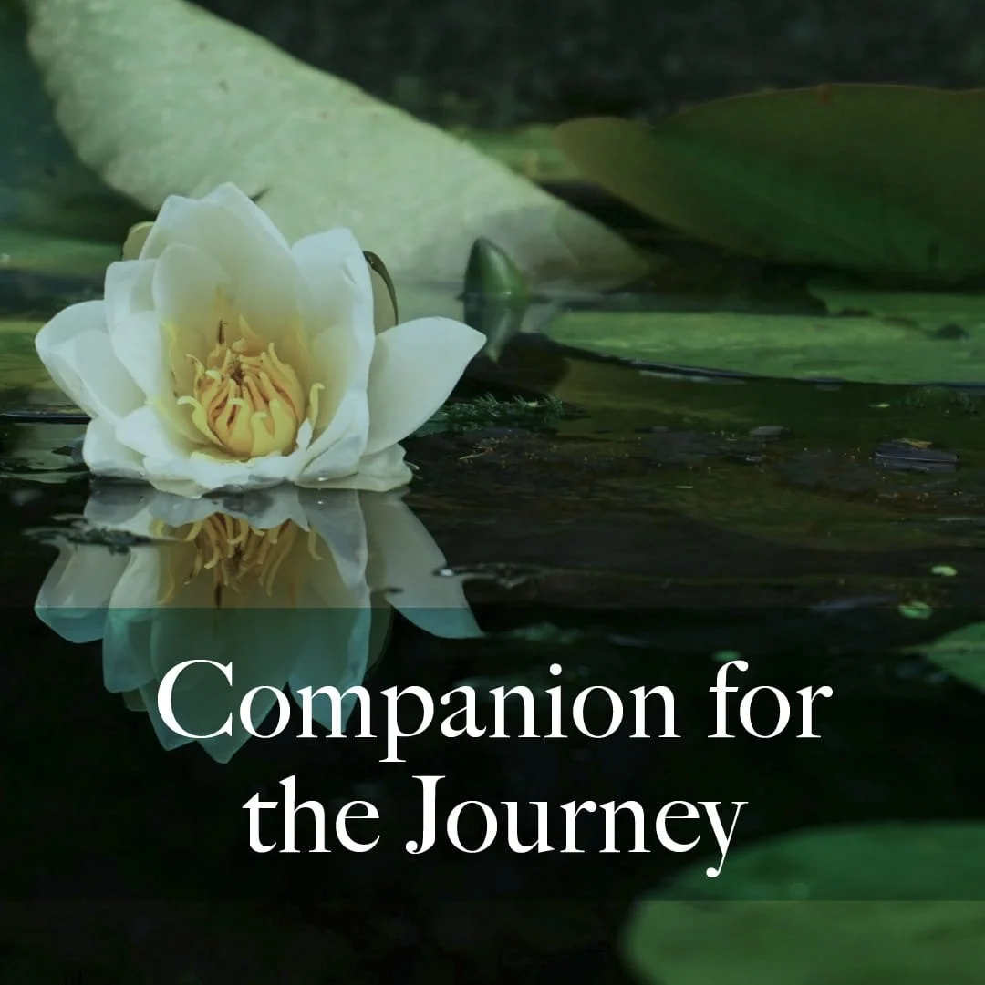 Sunday, March 8, 2026.  “Companion for the Journey”