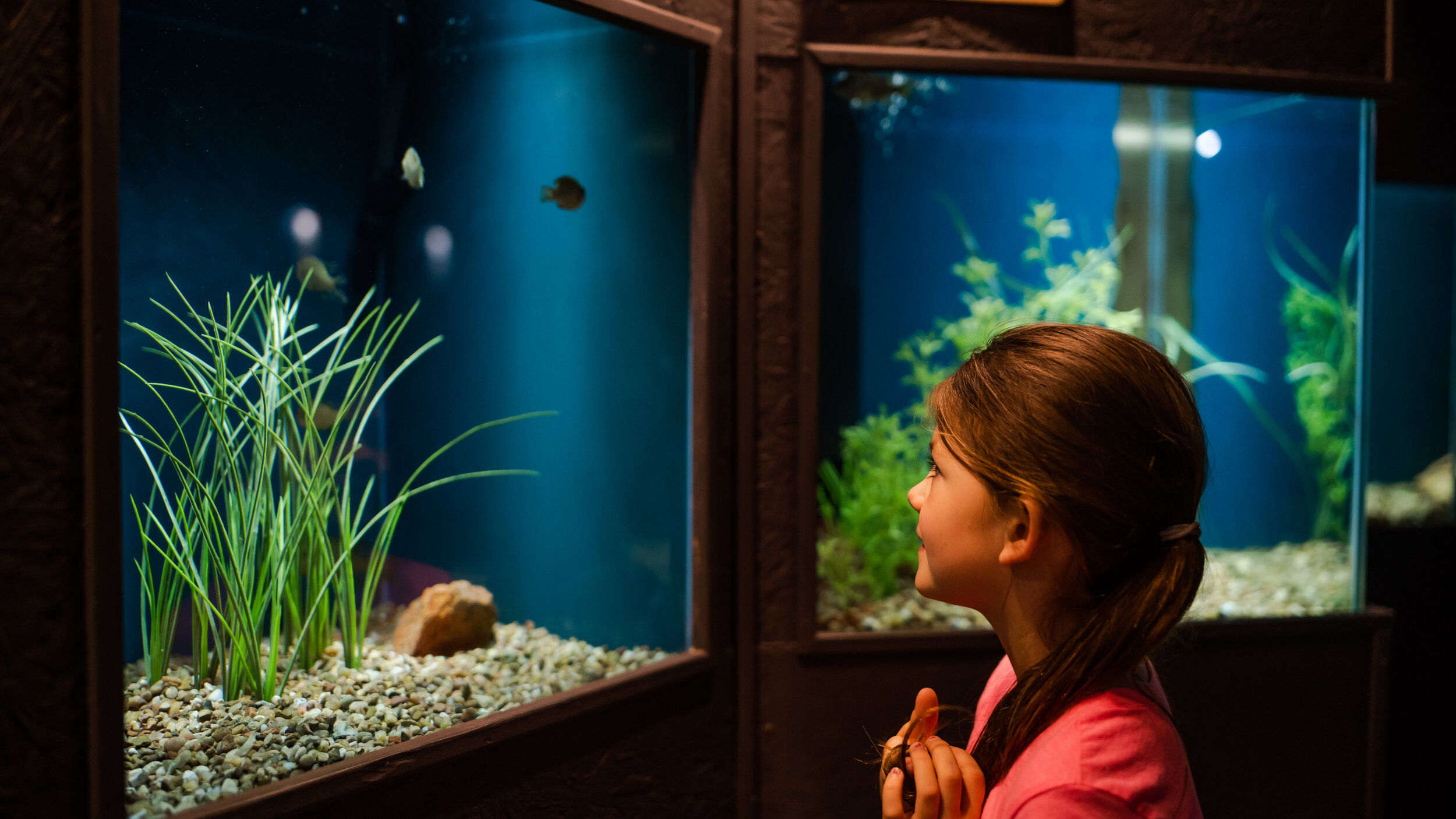 Medicine Park Aquarium & Natural Sciences Center