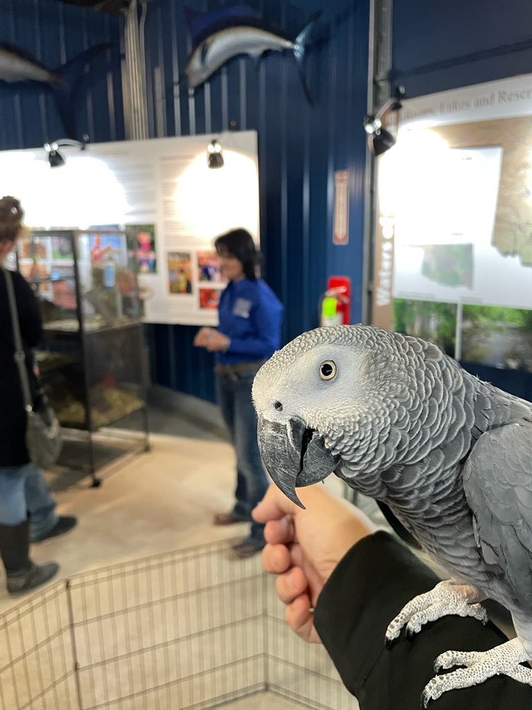 Simon