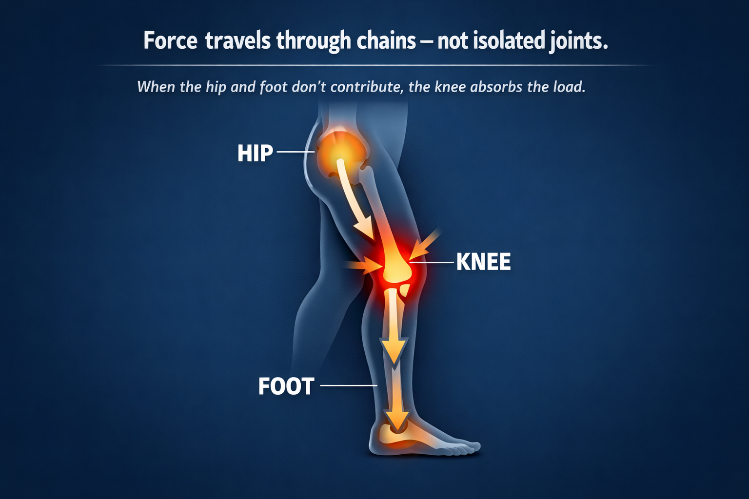 Diagram showing how force travels from the hip to the foot and concentrates at the knee when load distribution is poor.