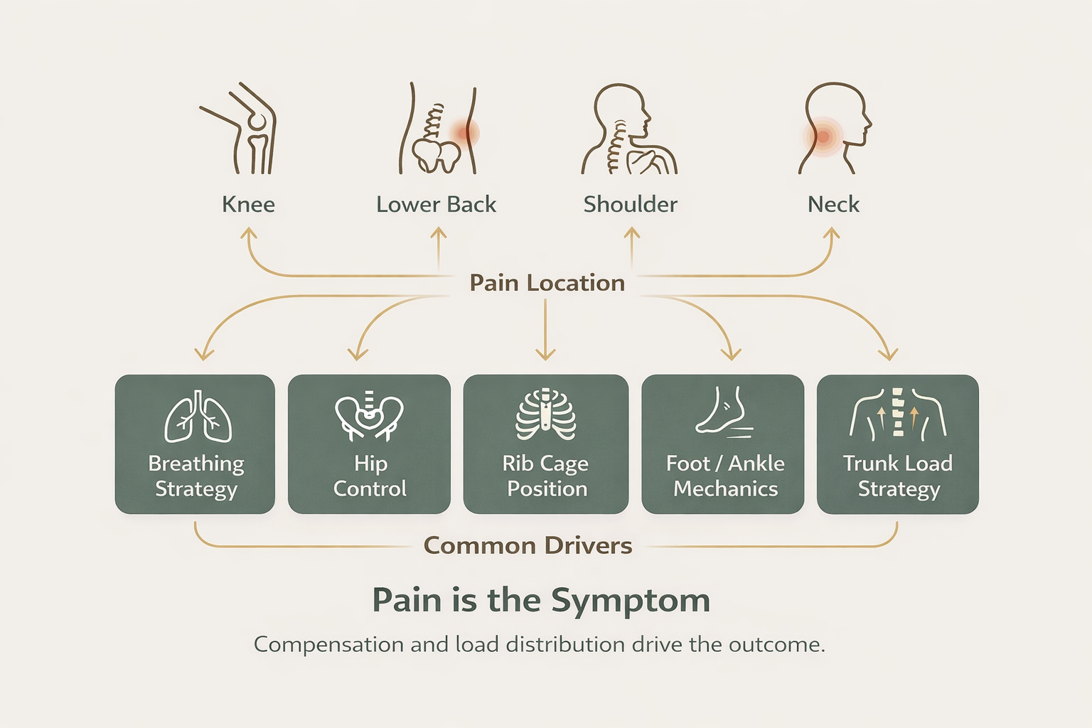 Diagram showing how compensation and load distribution drive pain location.