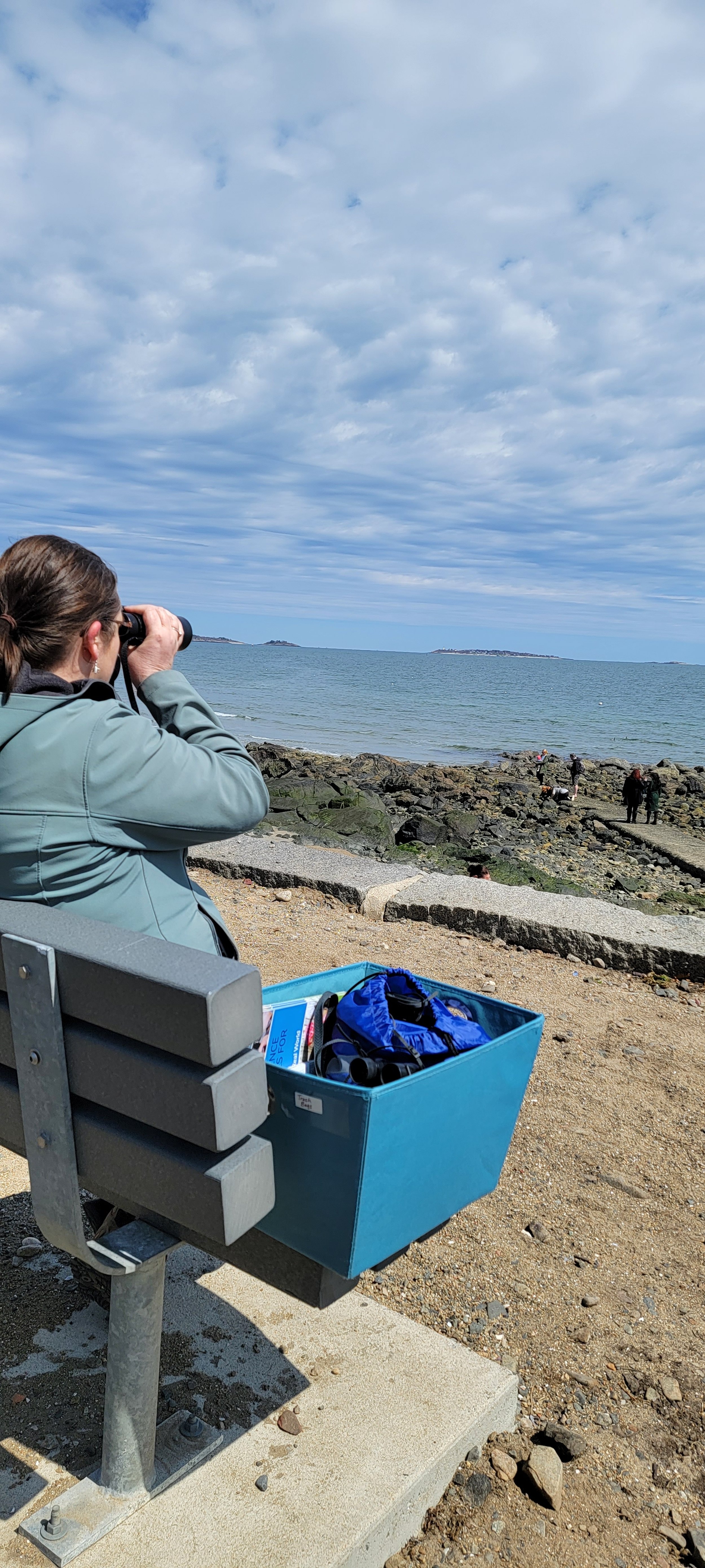 Bird watching with Kestrel