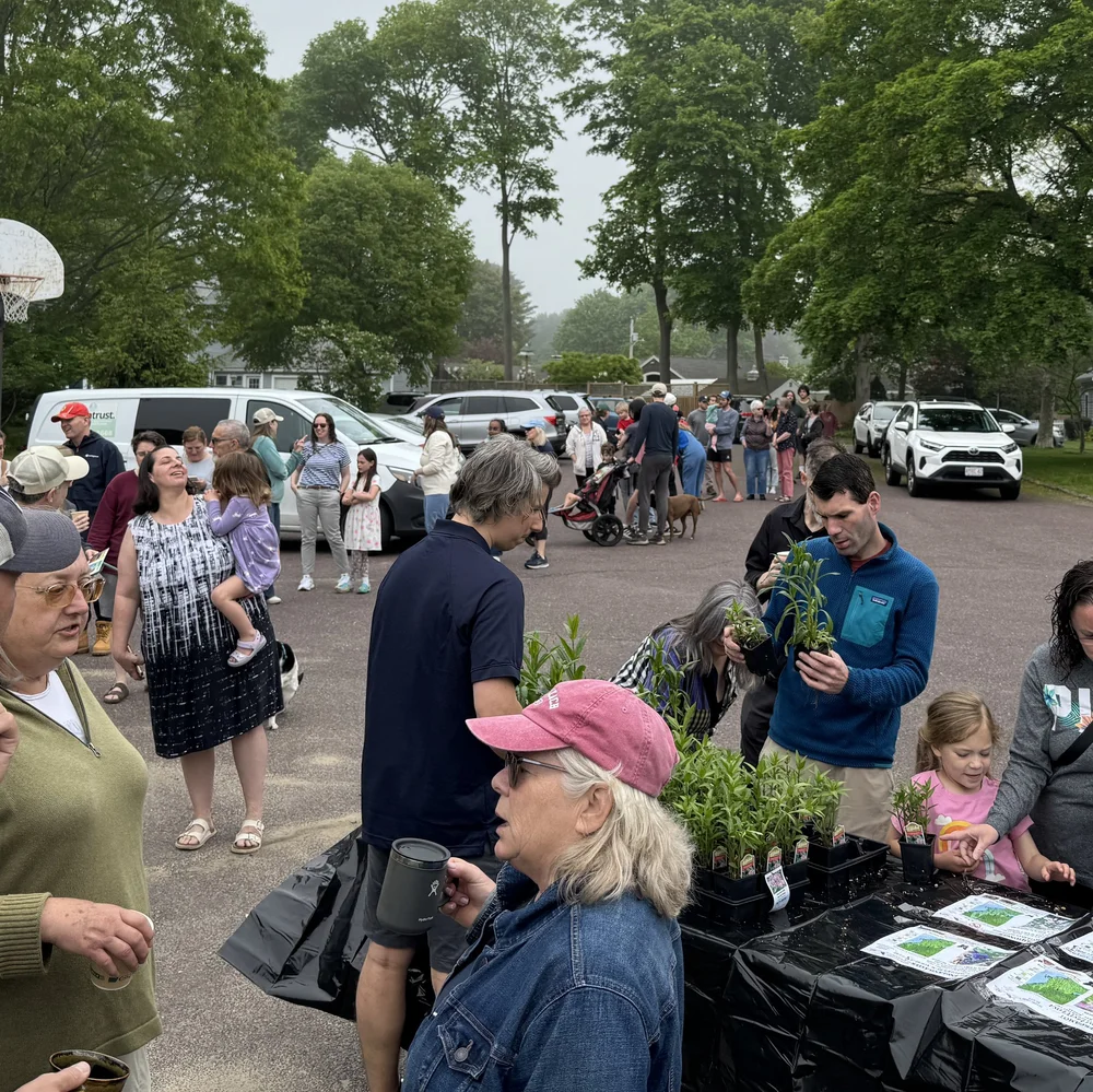 IMG_1896 2 copy.JPEG