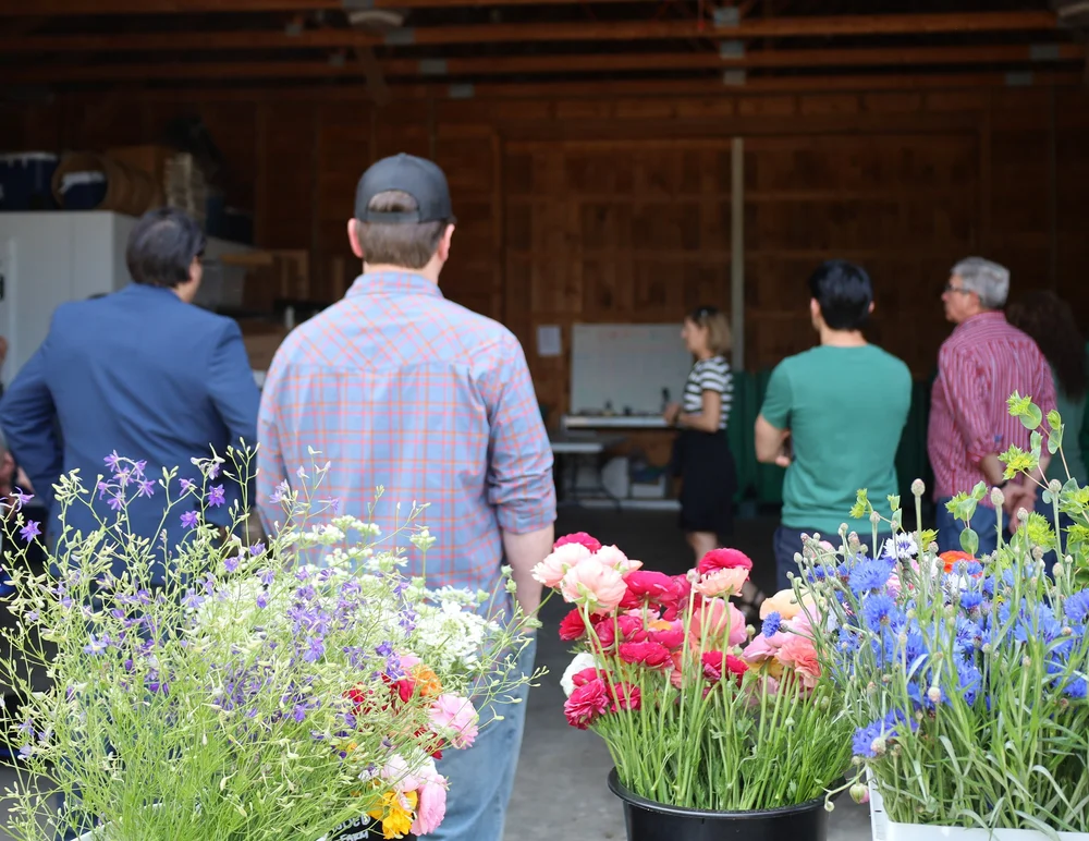 Copy of IMG_1163.JPG