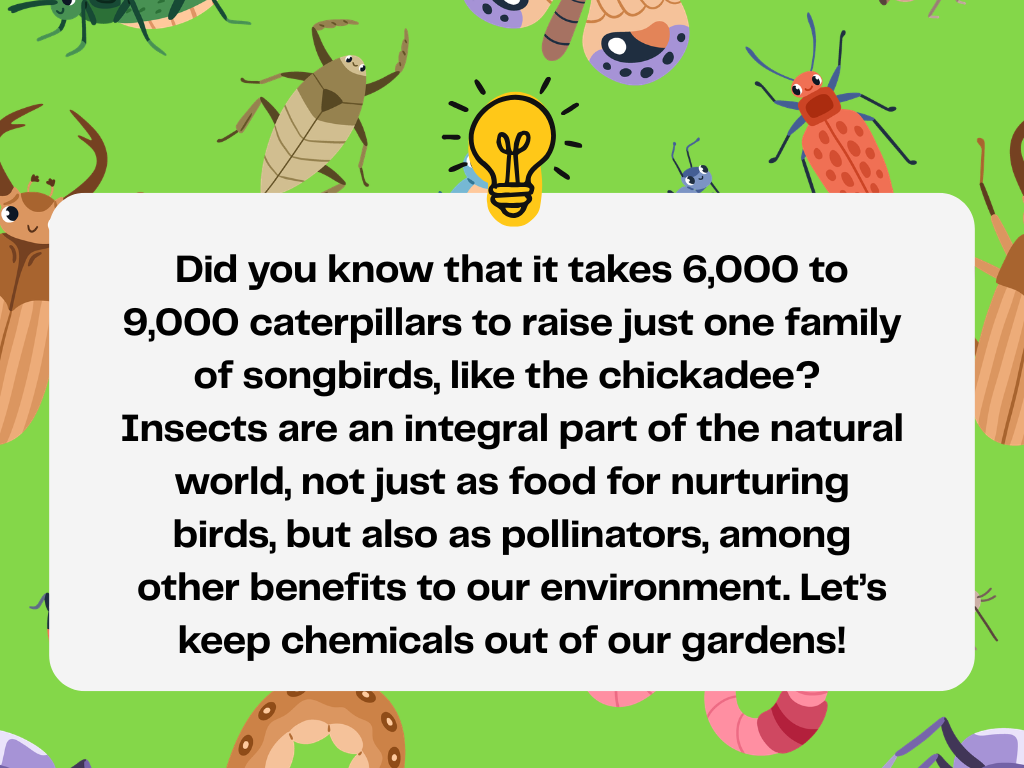 Blog 2026 Graph (1).png