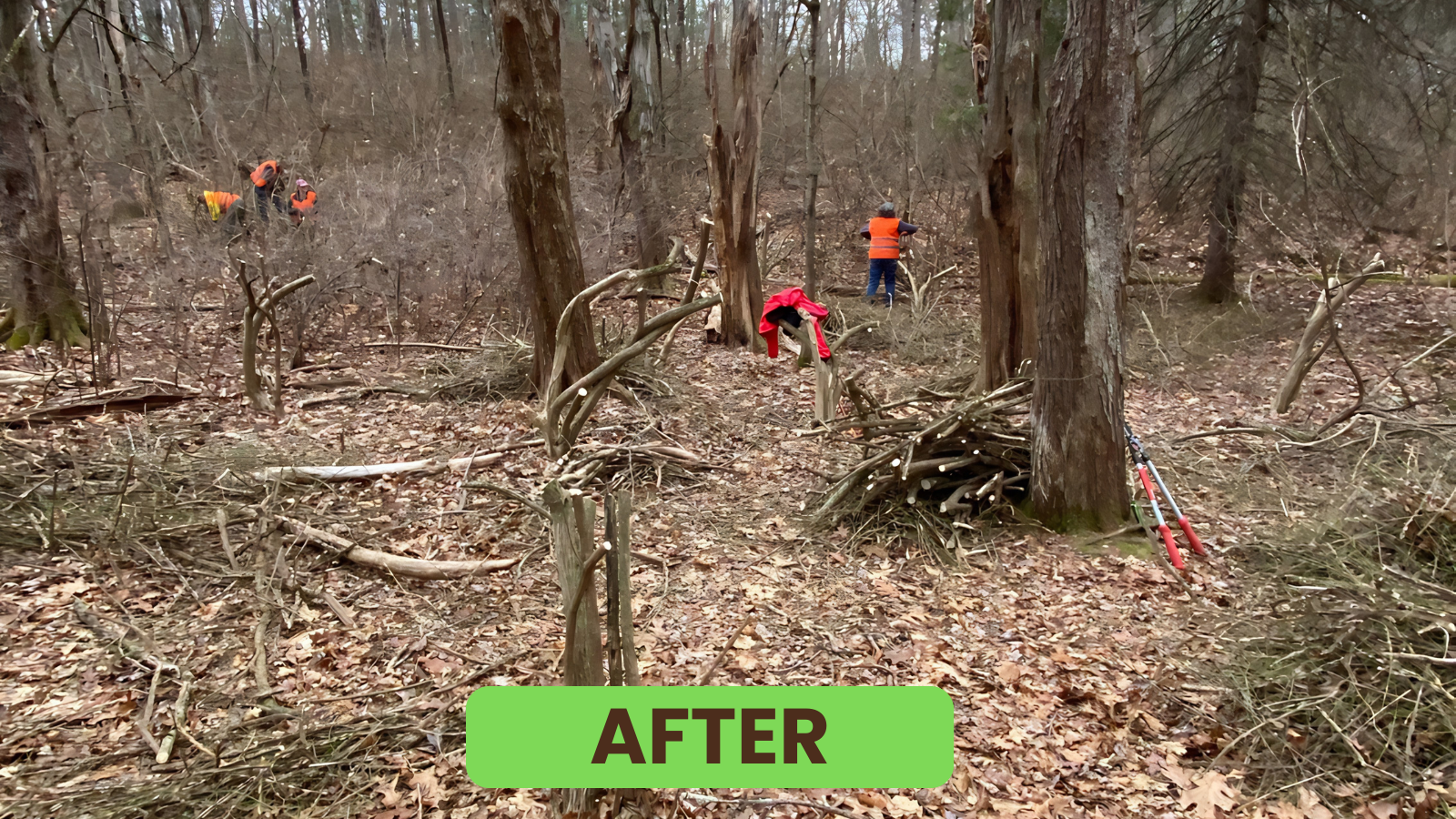 Blog before and after (1).png