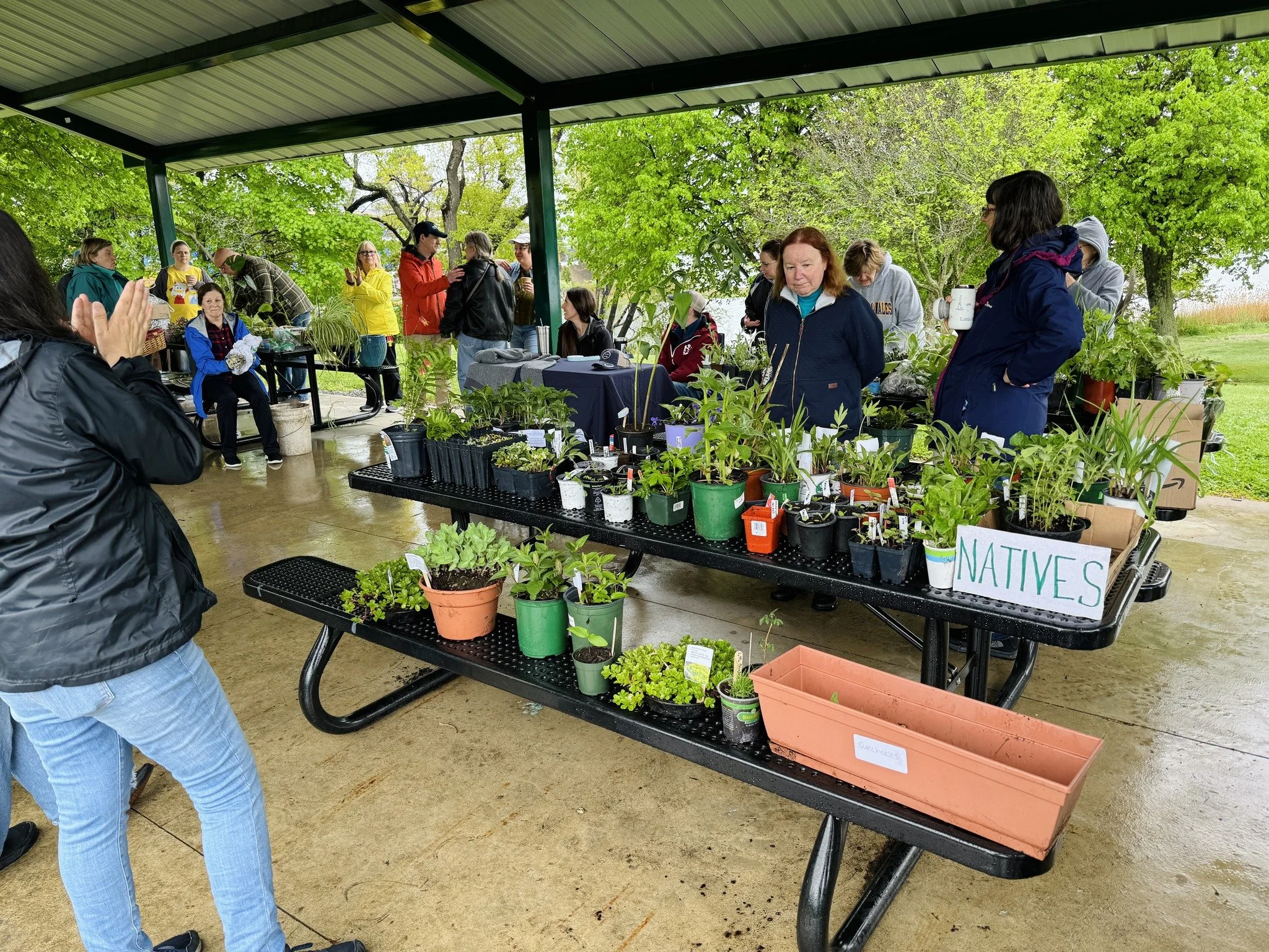 Beverly Plant Swap