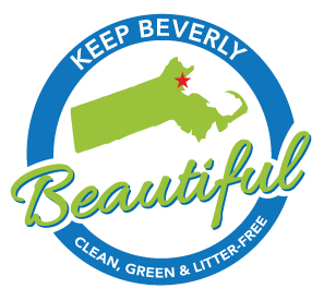 Ahearn Park / Goldway Playground Cleanup