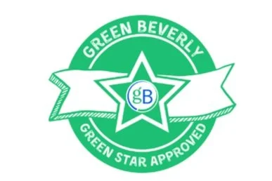 green star (3).jpg