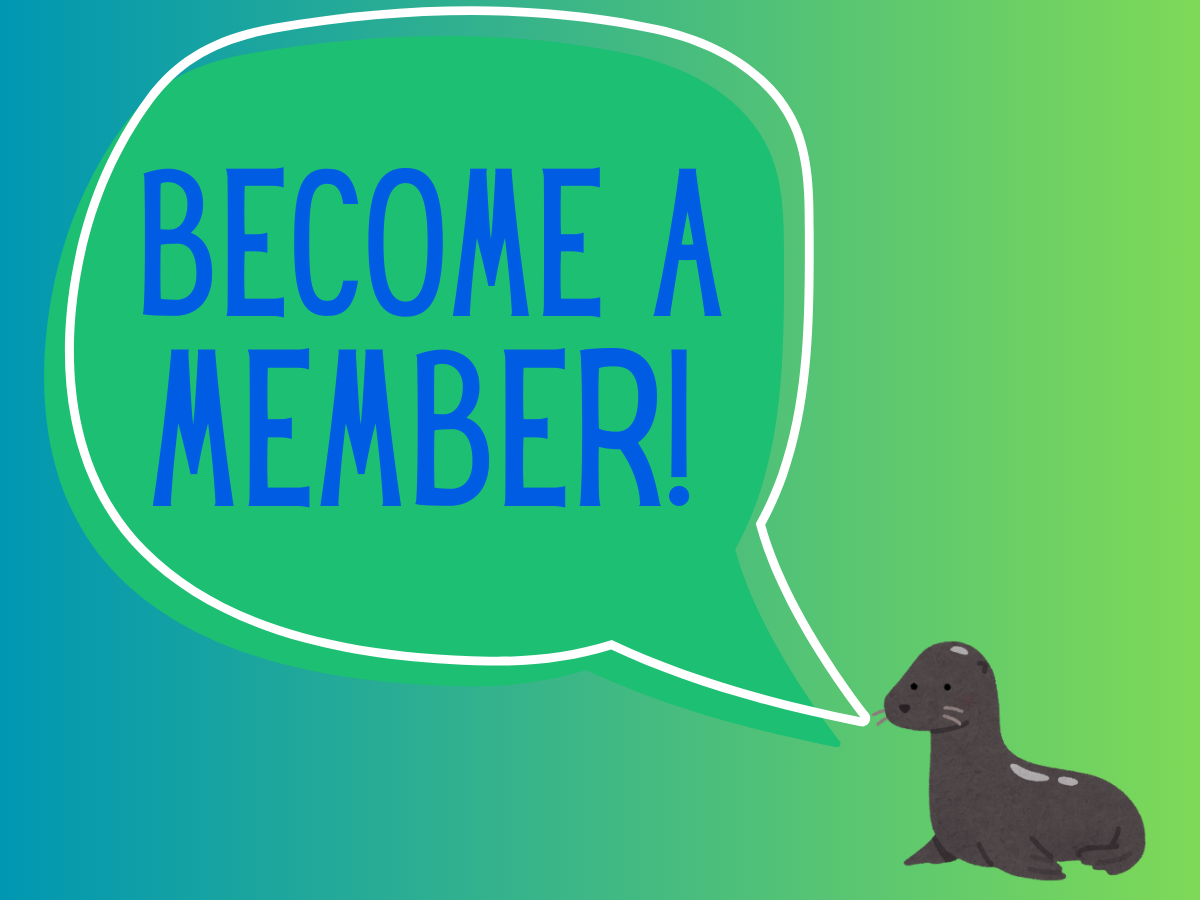 Member - Squarespace.png
