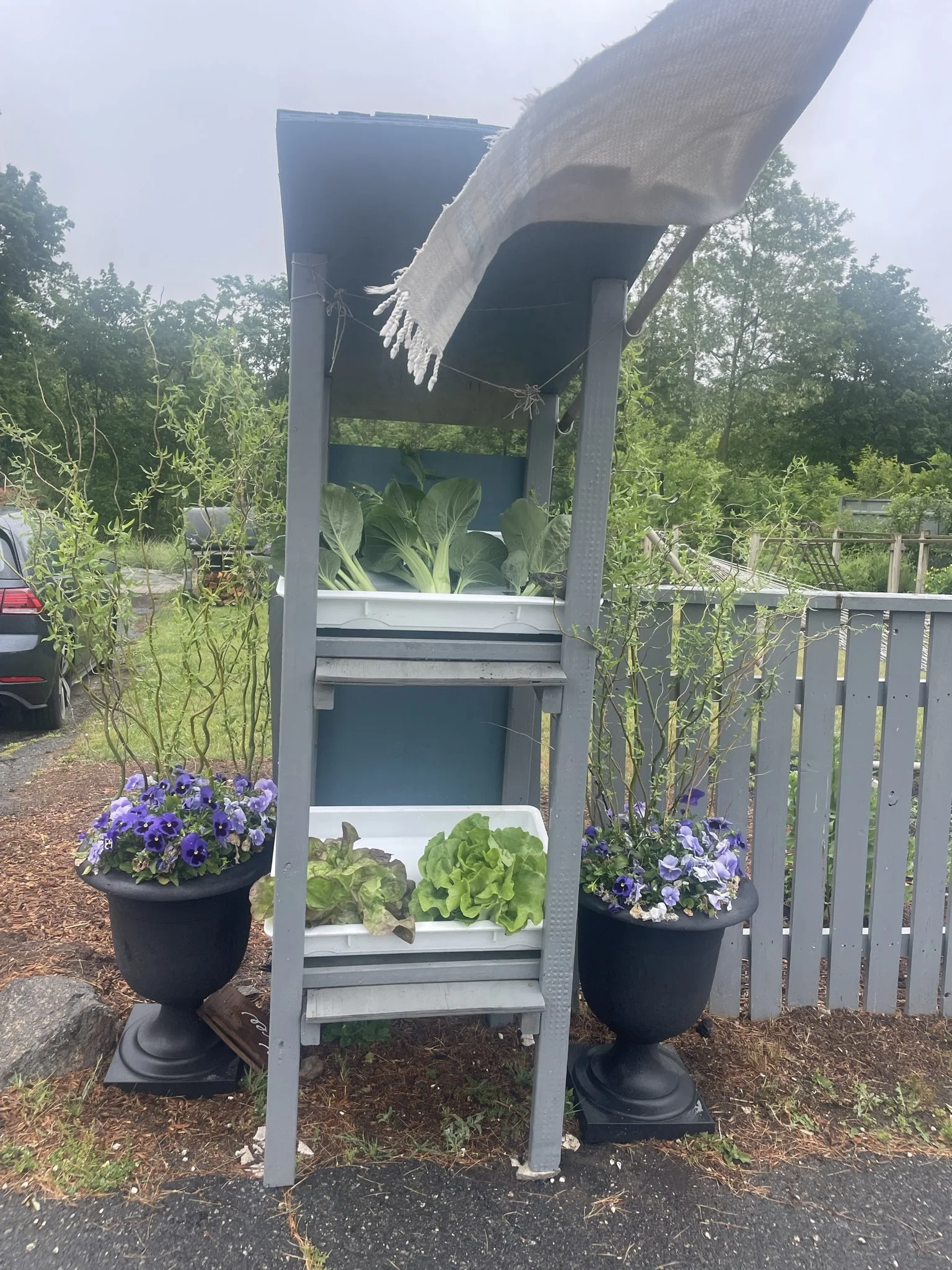 Freedson Farmstand2.JPEG