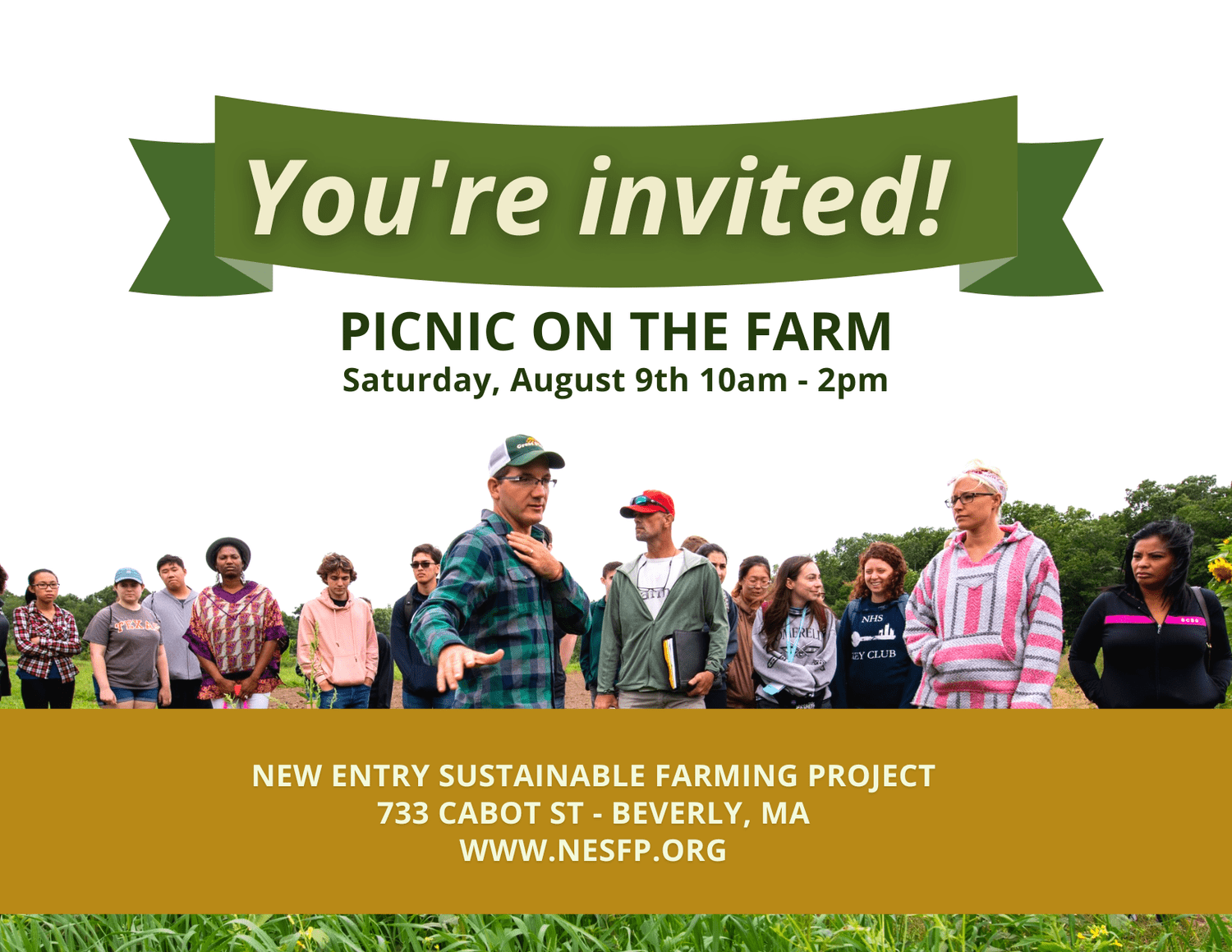 Picnic on the Farm — GREEN BEVERLY