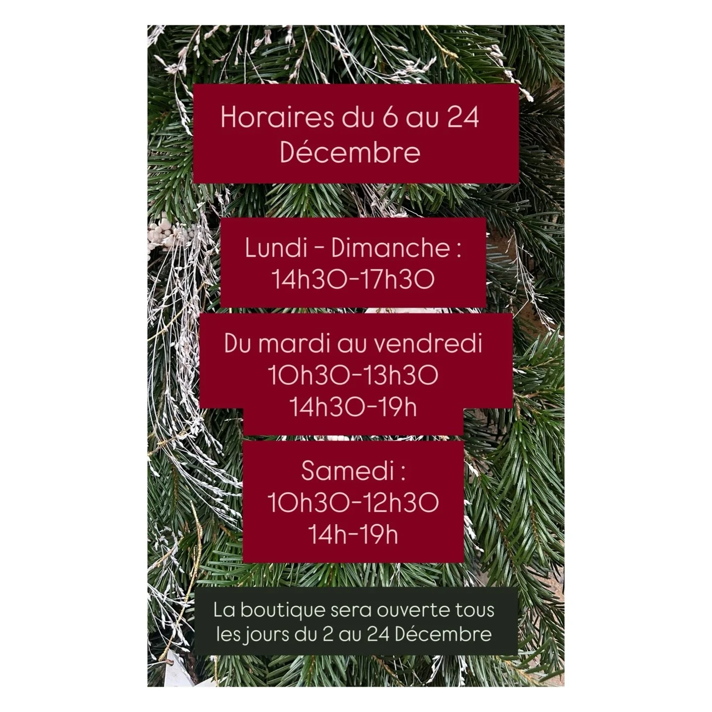 ✨ Horaires de No&euml;l Holigem ✨

La magie de No&euml;l s&rsquo;installe &agrave; la boutique ! 
Pour l&rsquo;occasion, je vous ouvre les portes tous les jours du 2 au 24 d&eacute;cembre afin de d&eacute;couvrir ma s&eacute;lection de bijoux et min&