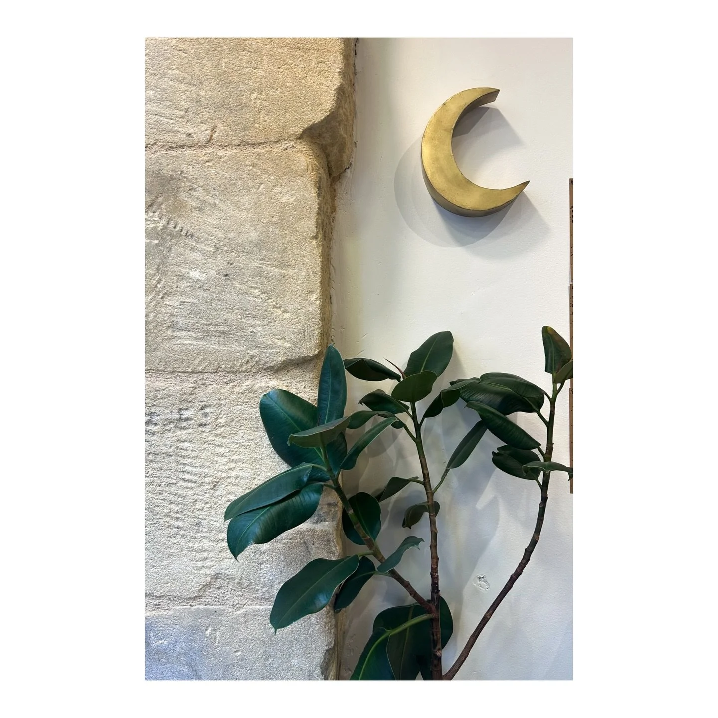 La s&eacute;lection de la semaine 
Prendre le temps d&rsquo;observer de pr&egrave;s les min&eacute;raux et ce qui les entoure car la beaut&eacute; est dans le d&eacute;tail.
Aujourd&rsquo;hui je suis d&rsquo;humeur &agrave; appr&eacute;cier chaque as