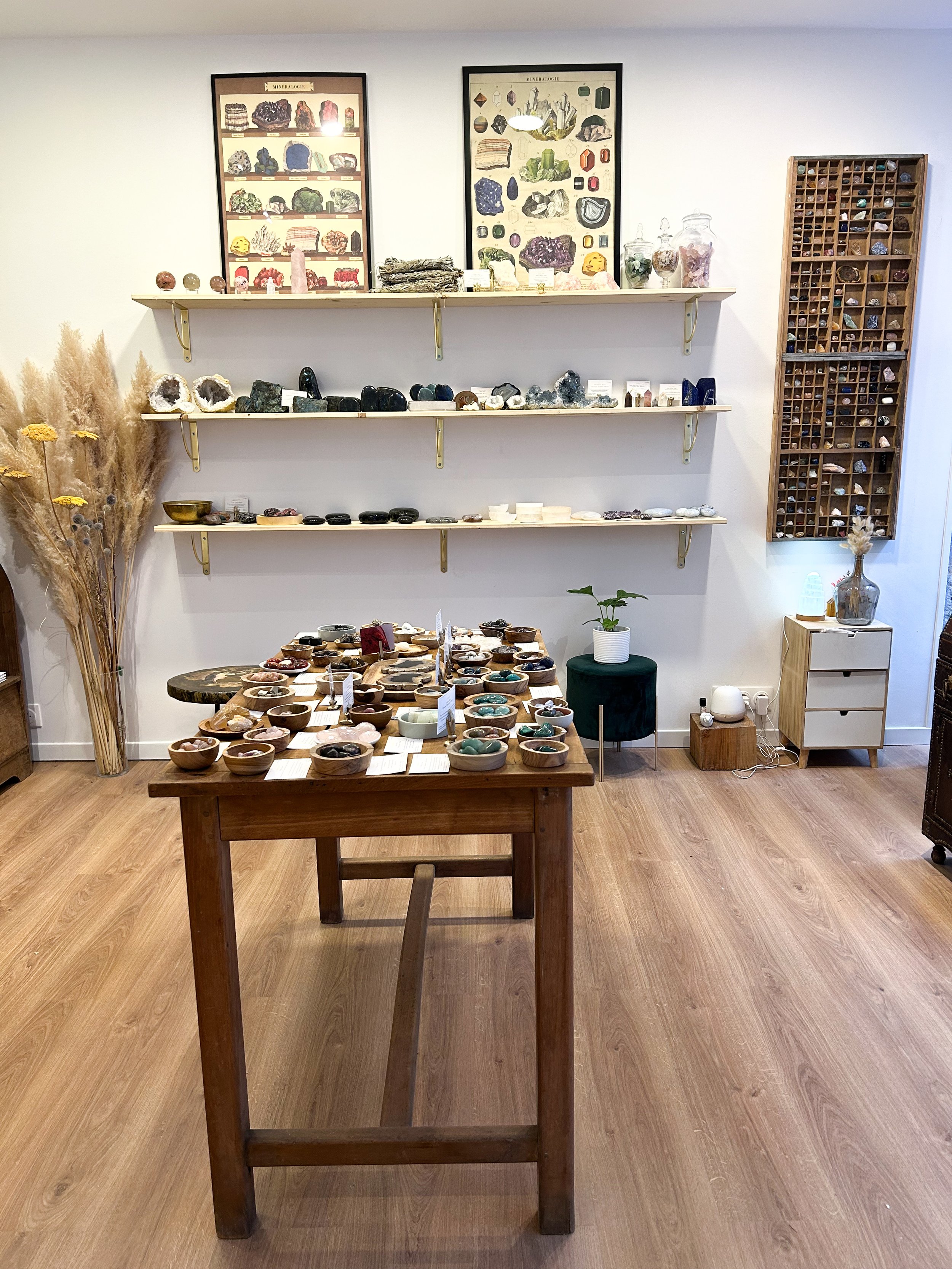 Une boutique de minéraux, avec des étagères remplies de roches et cristaux, et une table centrale avec des bols contenant diverses pierres.