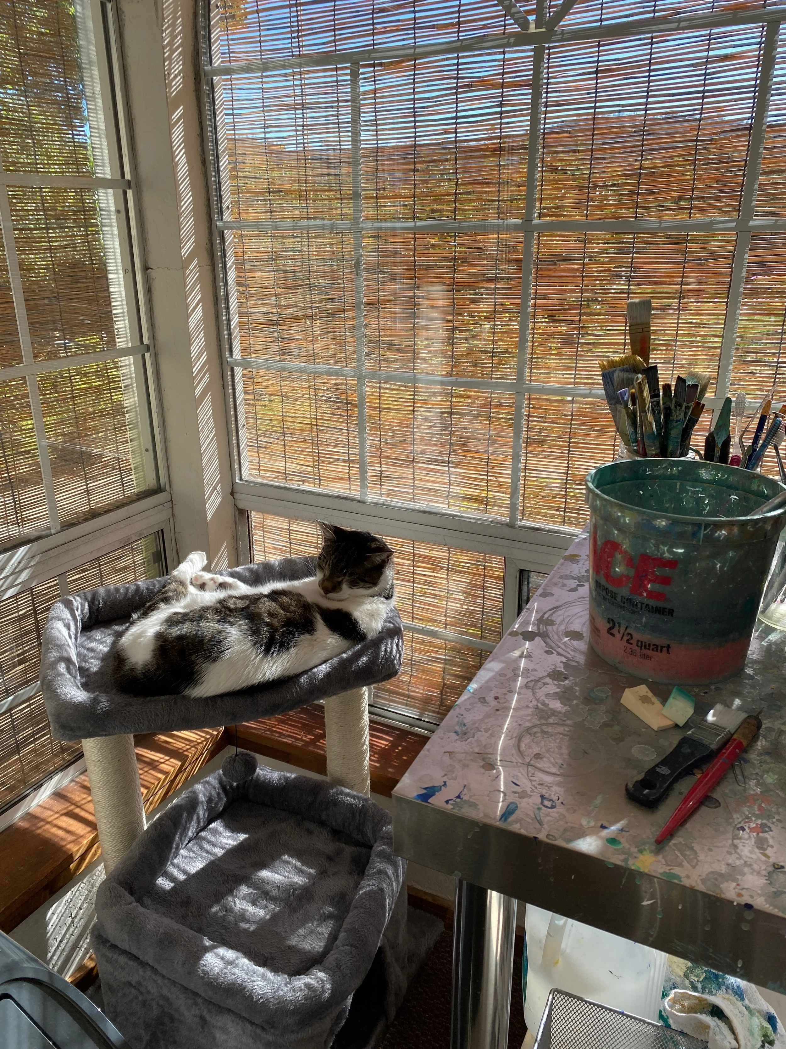 One of the perks of prepping for Open Studios is getting projects done around the studio that we&rsquo;ve meant to do for years. A 7&rsquo; couch that only the cats used has become a 2&rsquo; cozy cat tree they love. A door that gave everyone splinte