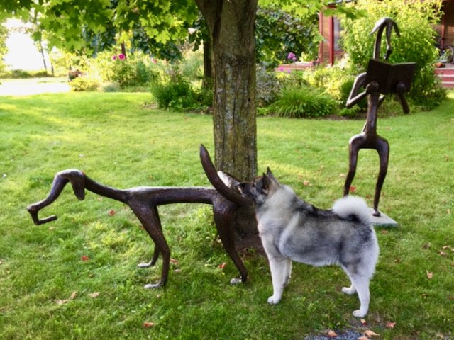 Peeing Dog in VT - 1 (1).jpeg