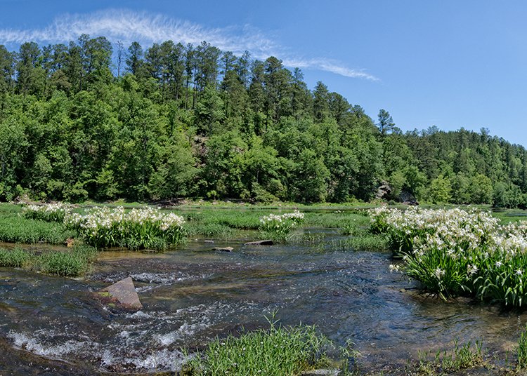 cahaba-river.jpg