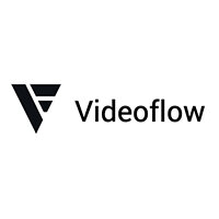 videoflow-logo.jpg