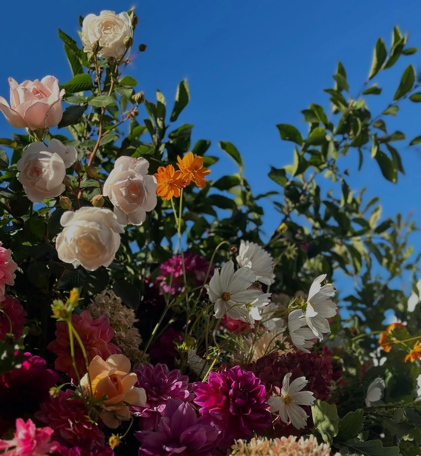 It&rsquo;s about a year since I spent three days with the team @lucyvailfloristry at @floristonflowerfarm , learning so much about large scale sustainable floristry. I loved it, met some great people, and further built my confidence and skills to cre