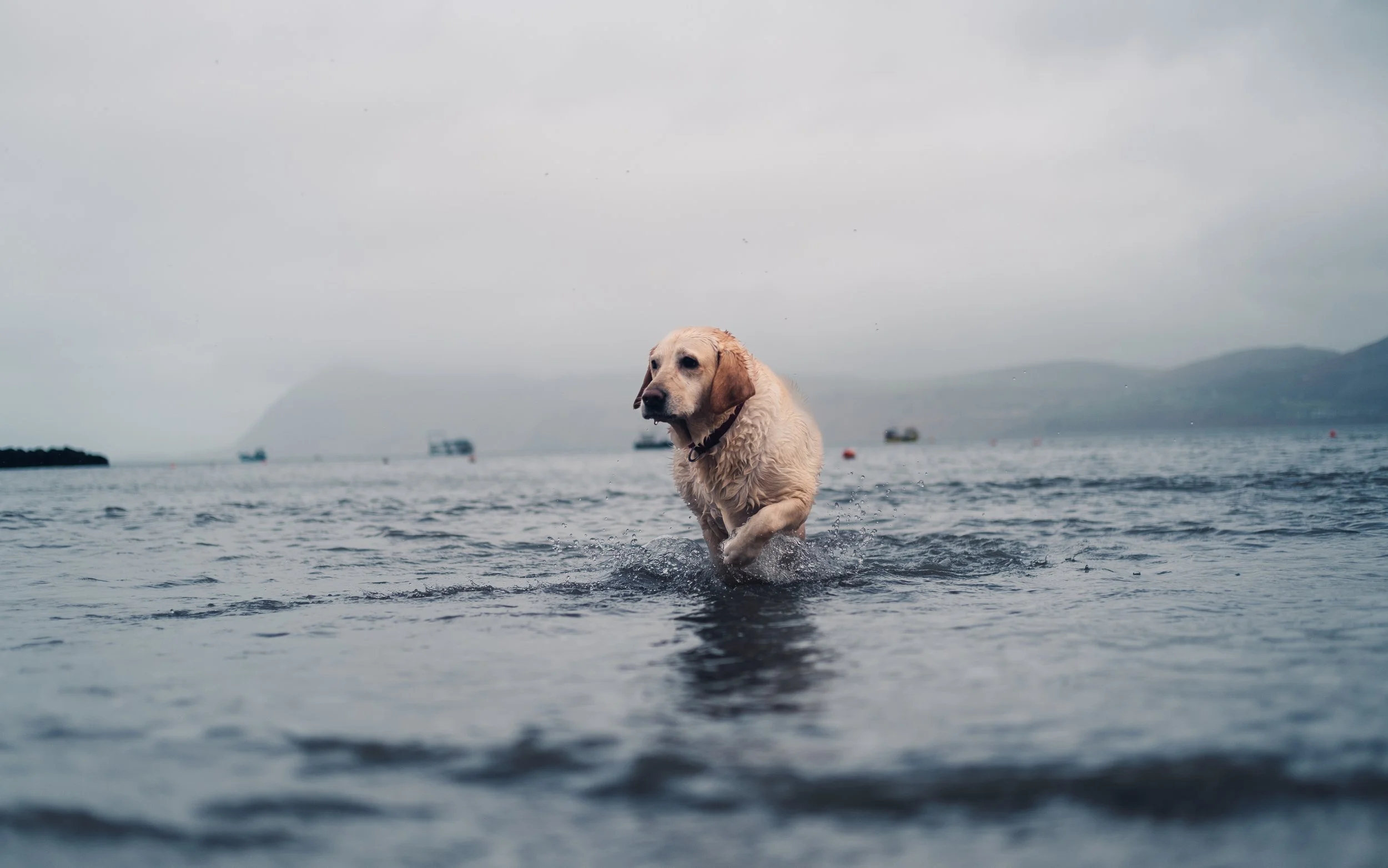 Mill Blue Tilt 8x5 a.jpg