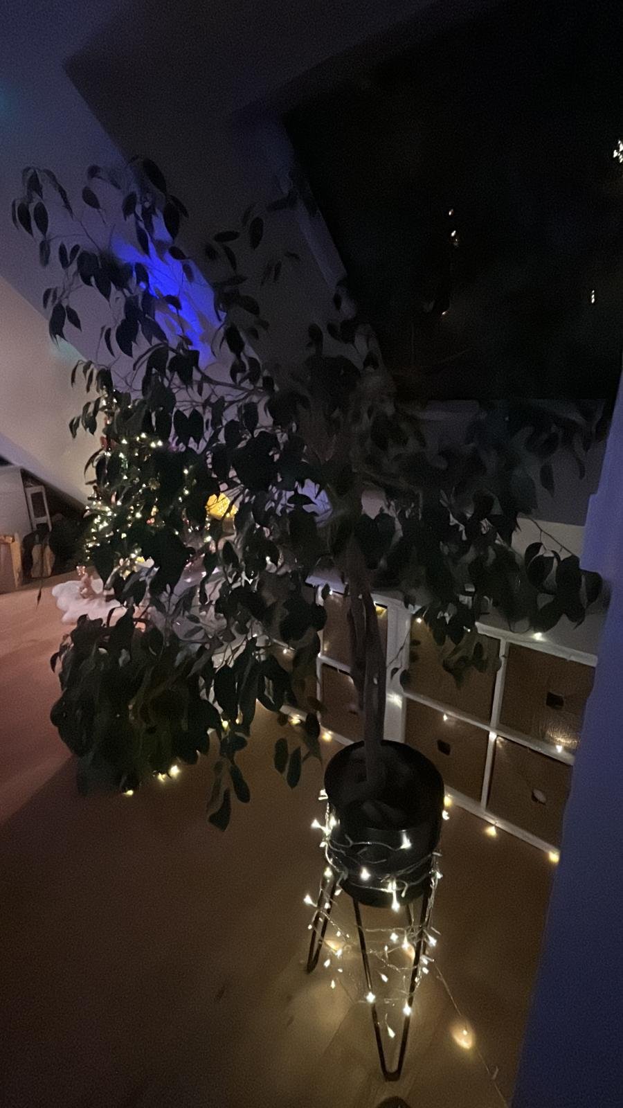 WhatsApp Image 2025-12-19 at 15.36.24 (2).jpeg