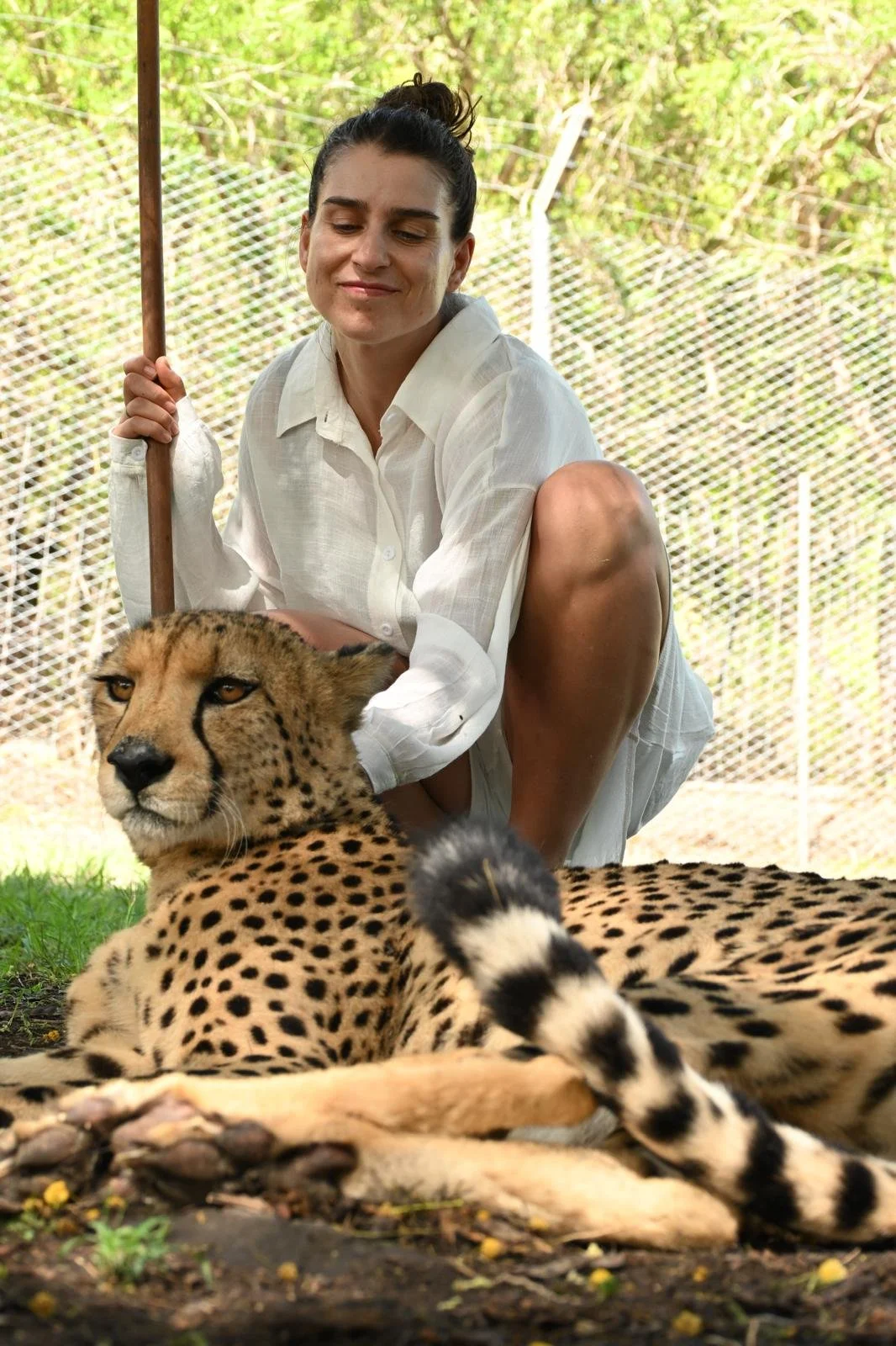 Christmas in the Warmth of an Island