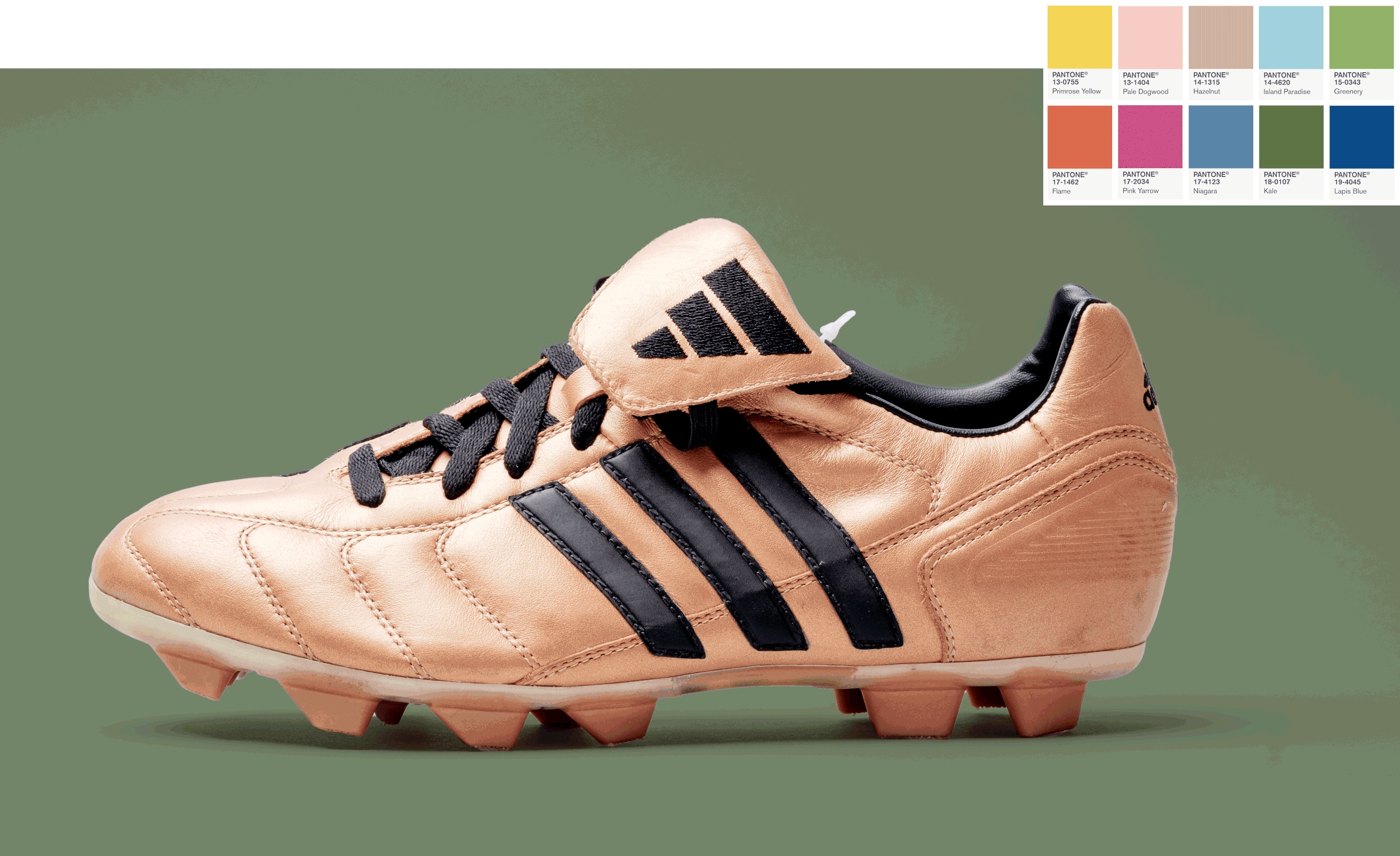 adidas-test-1-1.gif