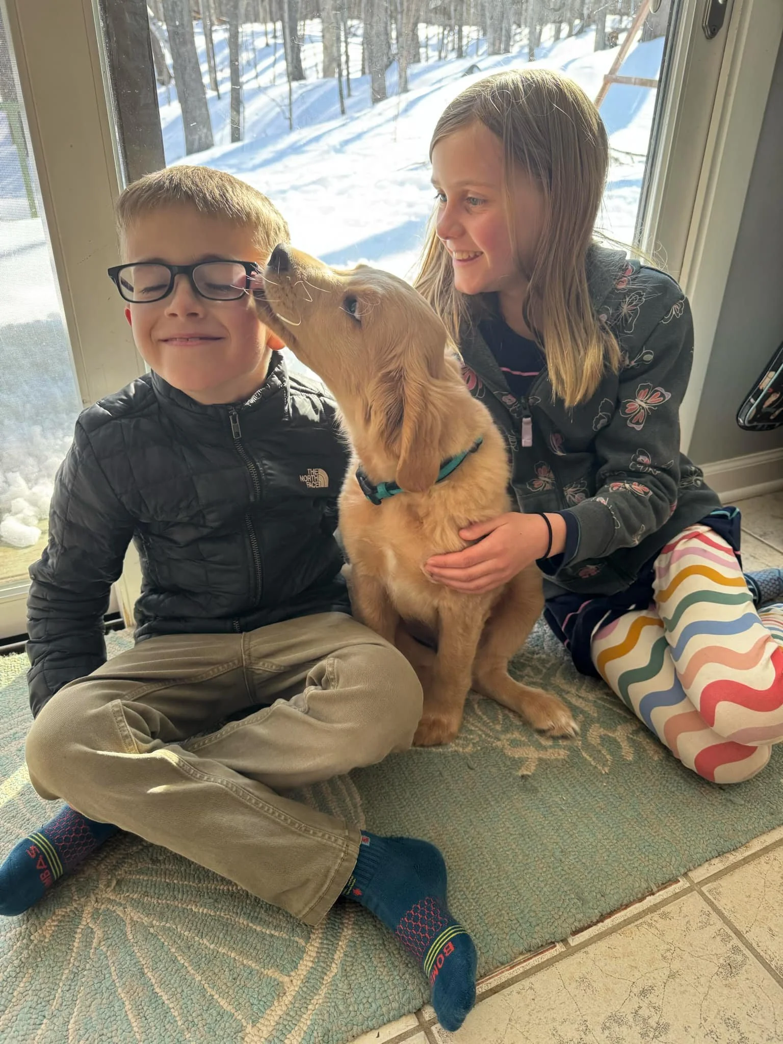 a24f336e-50f2-4abd-946d-bc5390a597d7.jfif