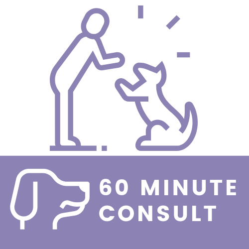 FIKAdog_website icons_60MinuteConsult.png
