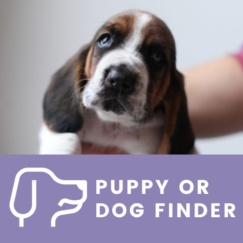 FIKAdog_website icon_PuppyFinder.png