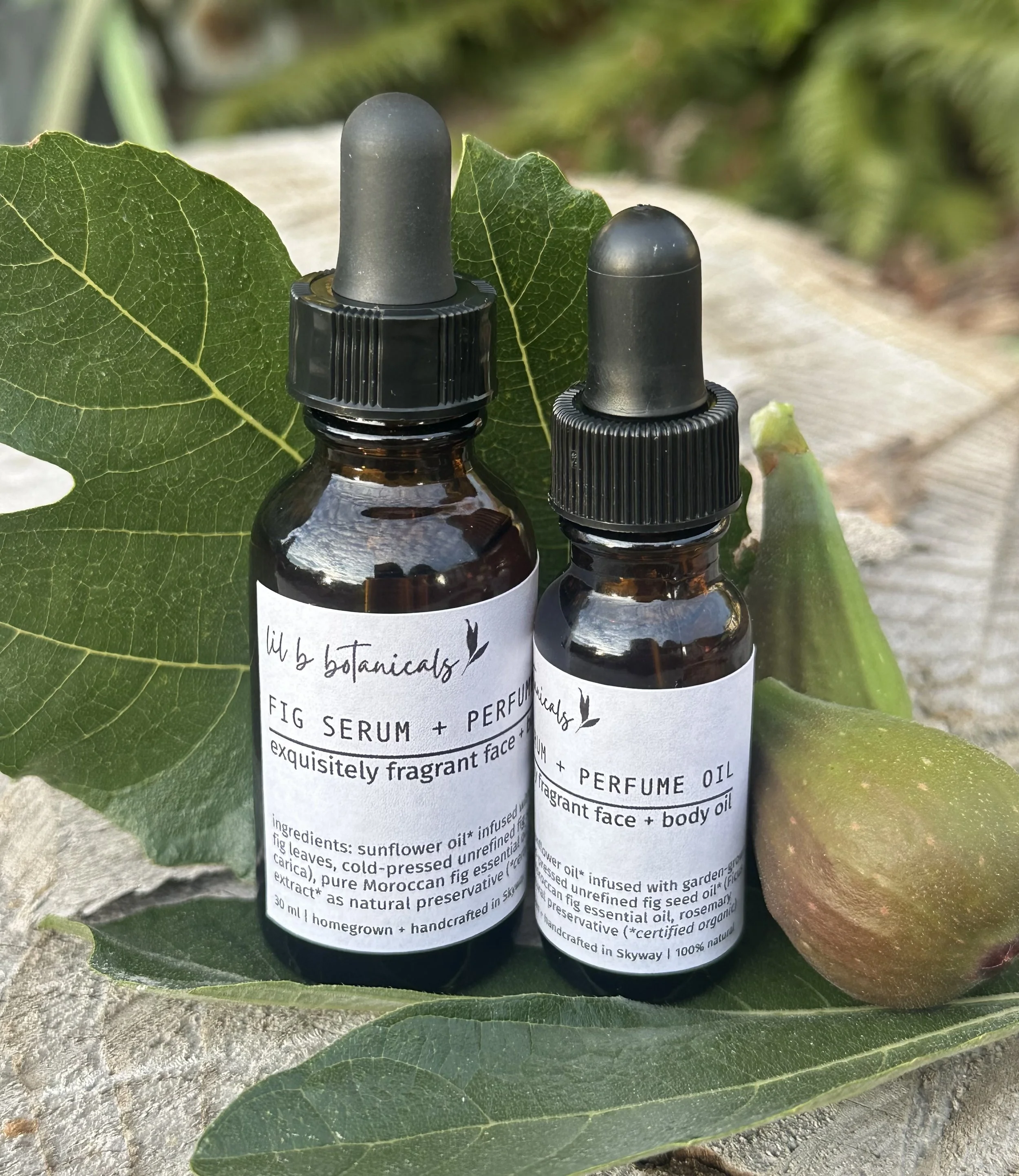 fig serum.jpg