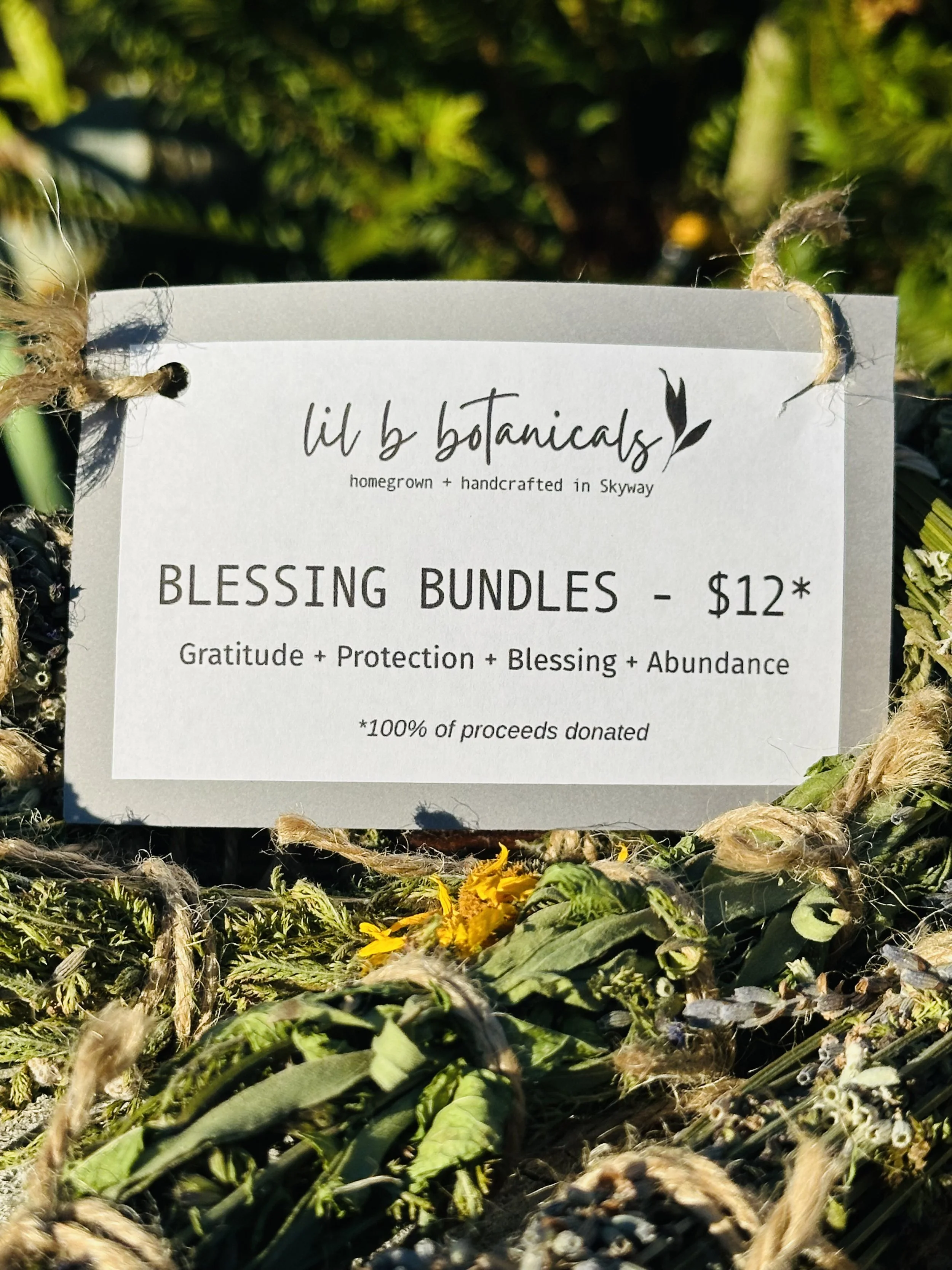 blessing bundle 1.jpg