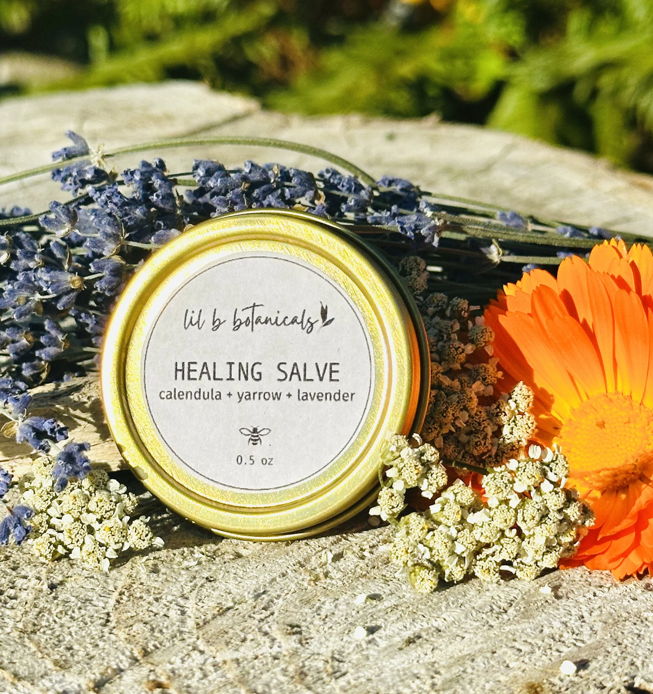 healing salve.jpg