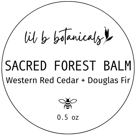 NEW! sacred forest balm - x̌payʔac (Western Red Cedar) + čəbidac (Douglas Fir) | 0.5 oz