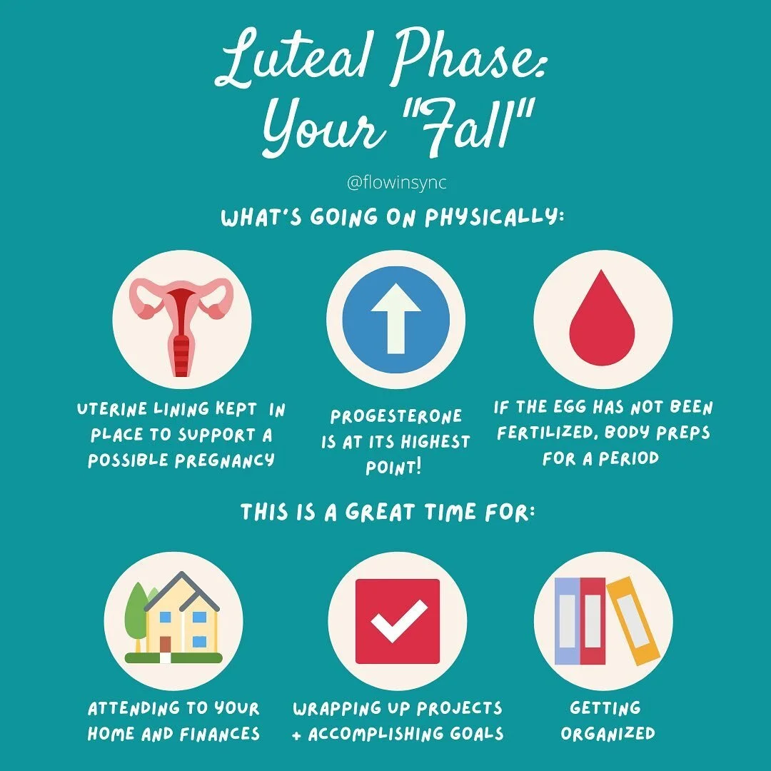 Let&rsquo;s wind down and close out our Cycles 101 series by talking about the last phase before a new cycle begins: your luteal phase! You can affectionately think of this time as your &ldquo;fall season&rdquo; 😉🍁

What&rsquo;s going on physically