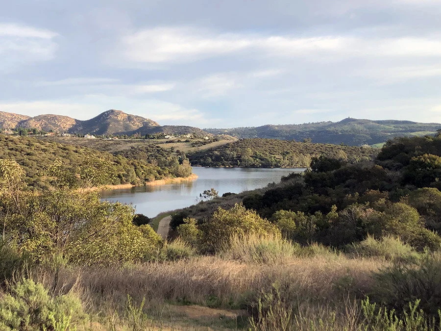 Lake-Jennings.jpg