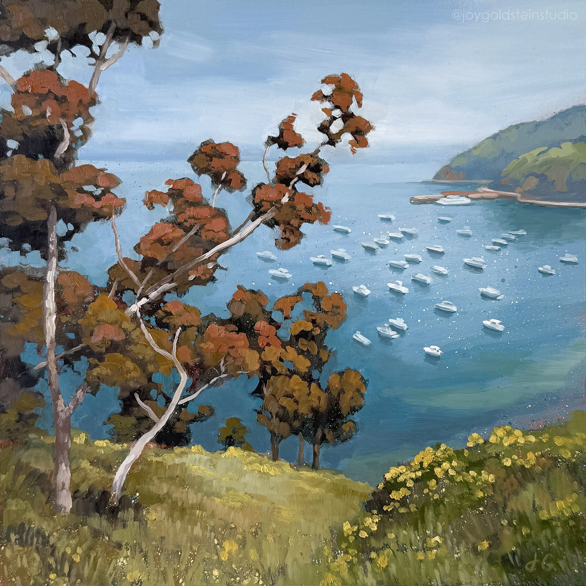Catalina Island, 12x12 inches, $235