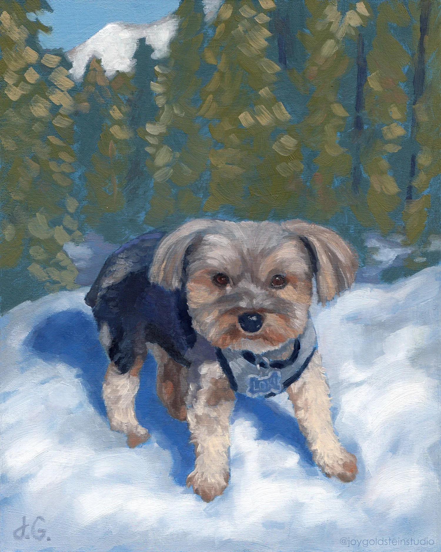 Loki, Oil on Panel, 6x7.5 inches