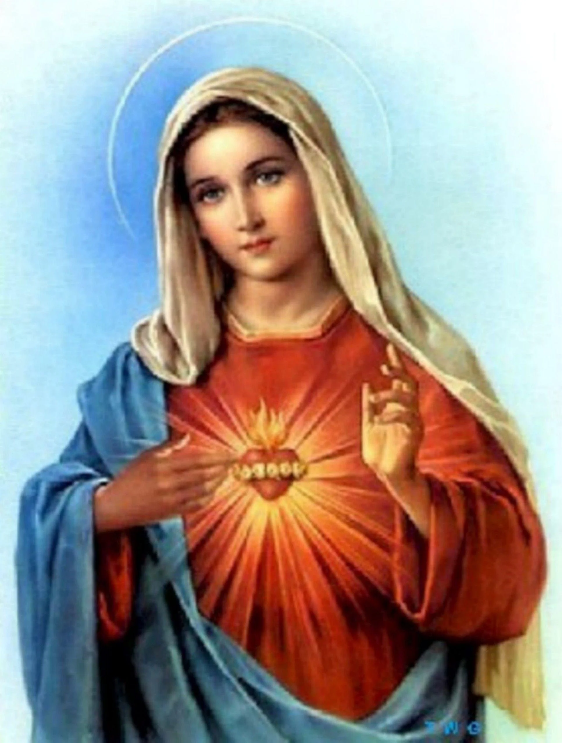The Immaculate Heart of Mary