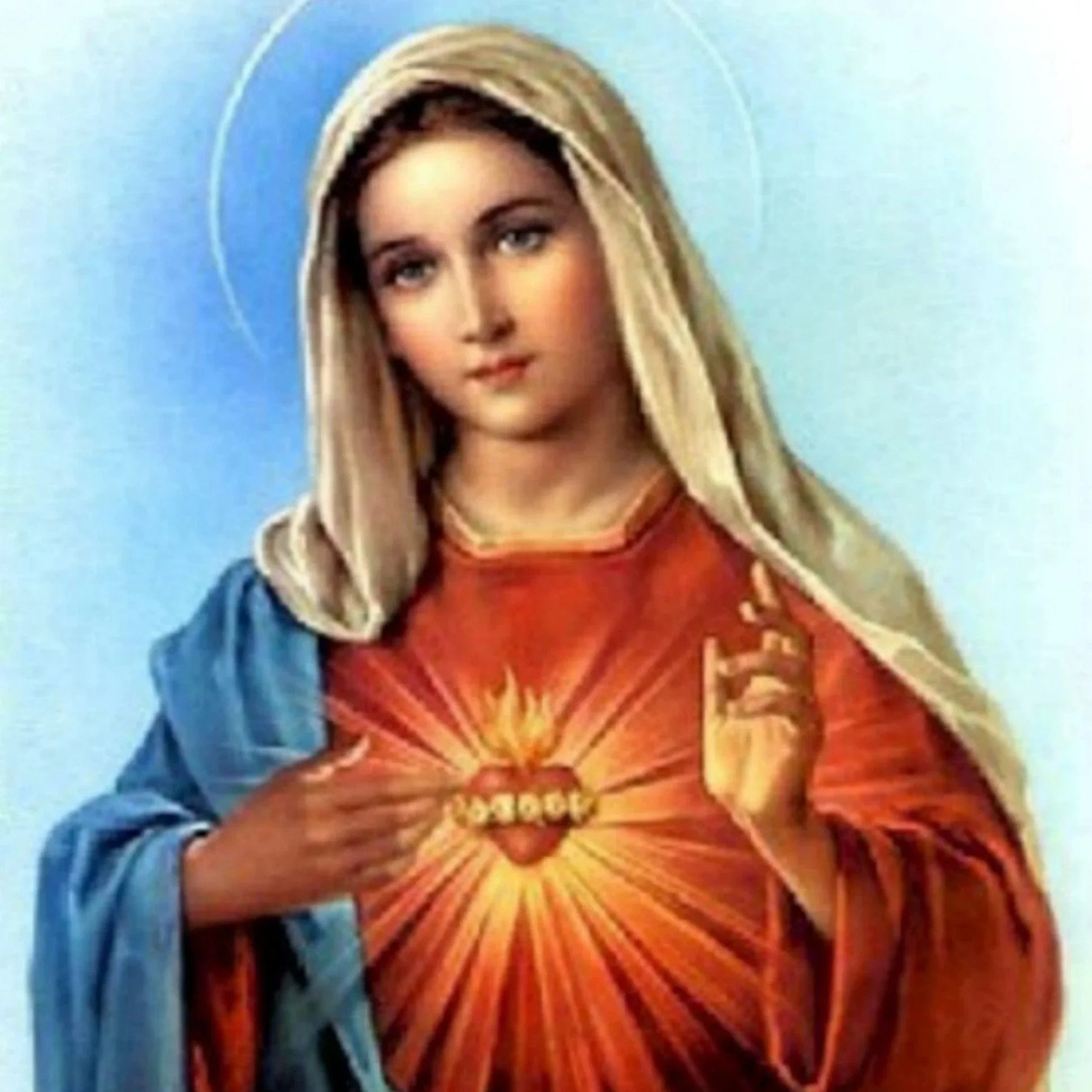 The Immaculate Heart of Mary