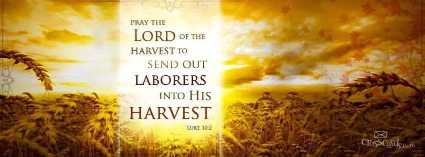 7th Sunday of Pentecost