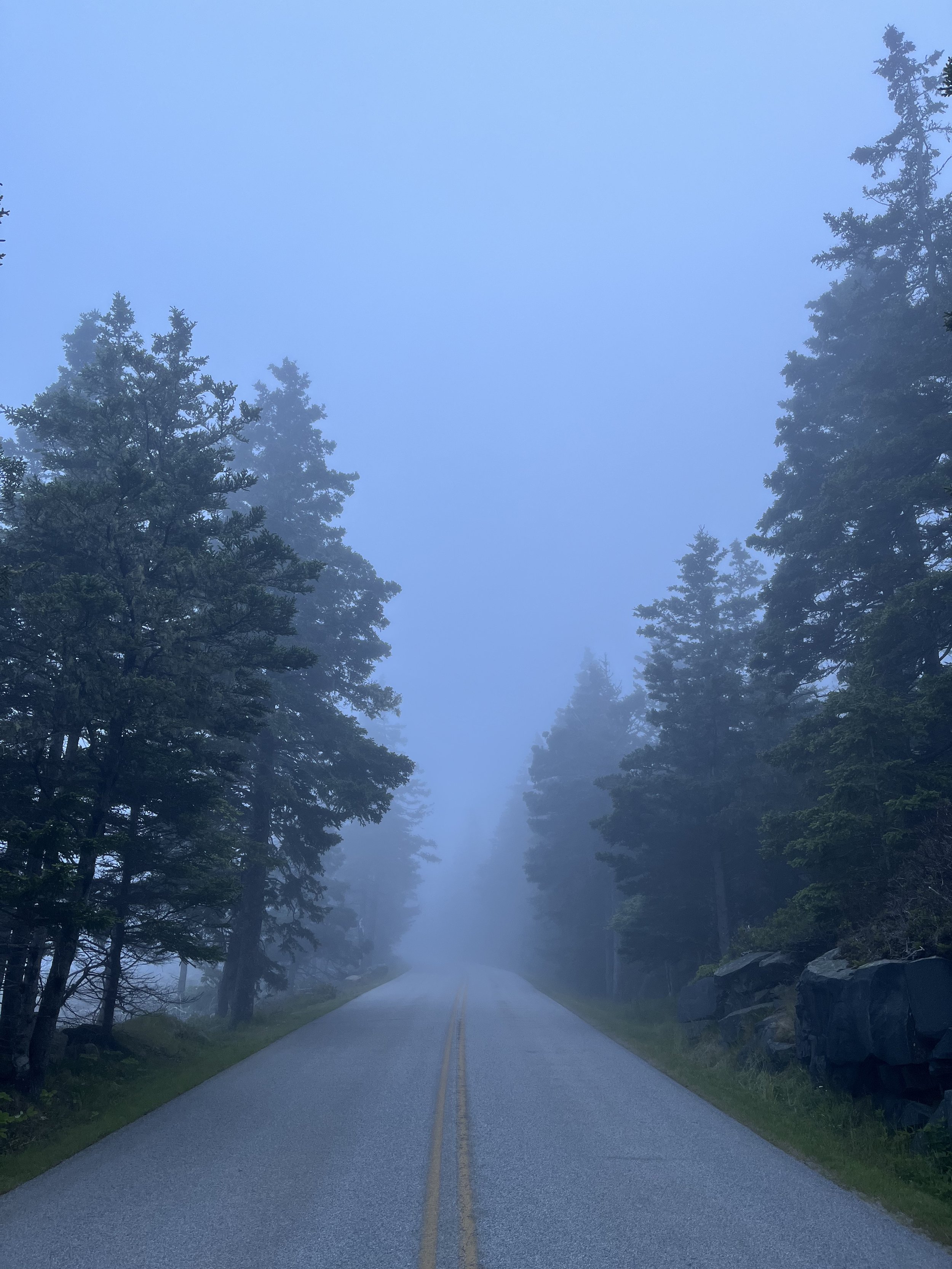 Foggy drive to Winter Harbor.